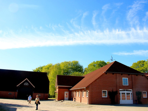 Kutschfahrt Himbeerhof Gut Steinwehr 2.Tag Weiherer Reisen Nord Ostsee – Foto 152