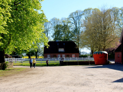 Kutschfahrt Himbeerhof Gut Steinwehr 2.Tag Weiherer Reisen Nord Ostsee – Foto 153