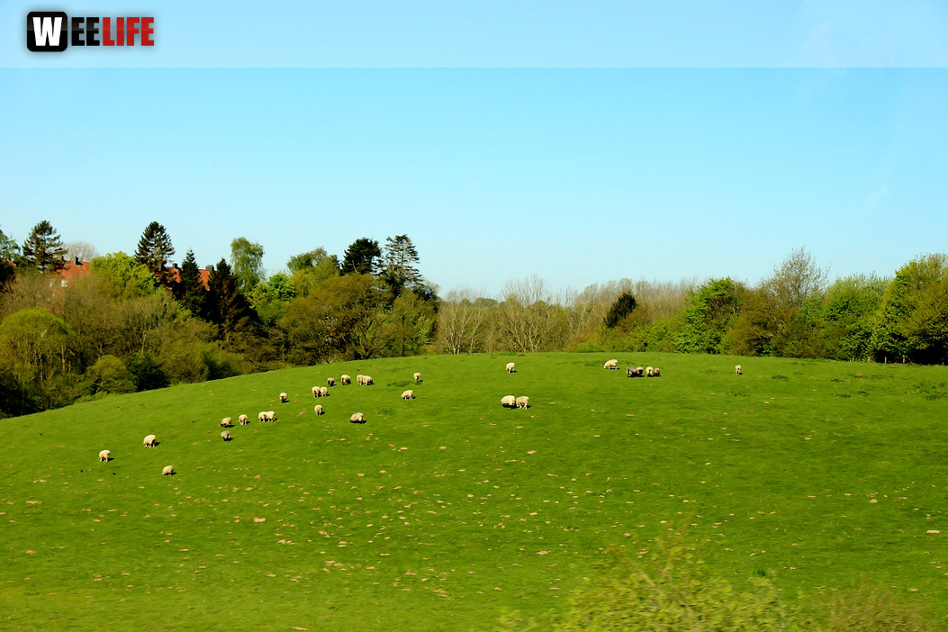 Landarzt Kappeln Hinnerksens Hof 3.Tag Weiherer Reisen Nord Ostsee
