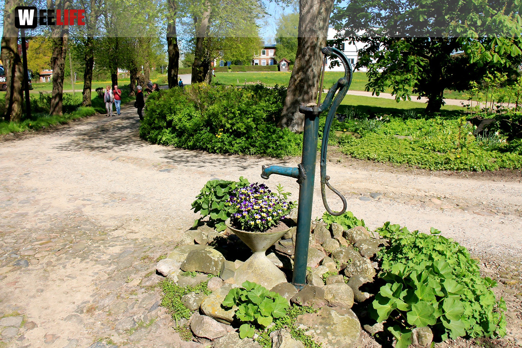 Landarzt Kappeln Hinnerksens Hof 3.Tag Weiherer Reisen Nord Ostsee
