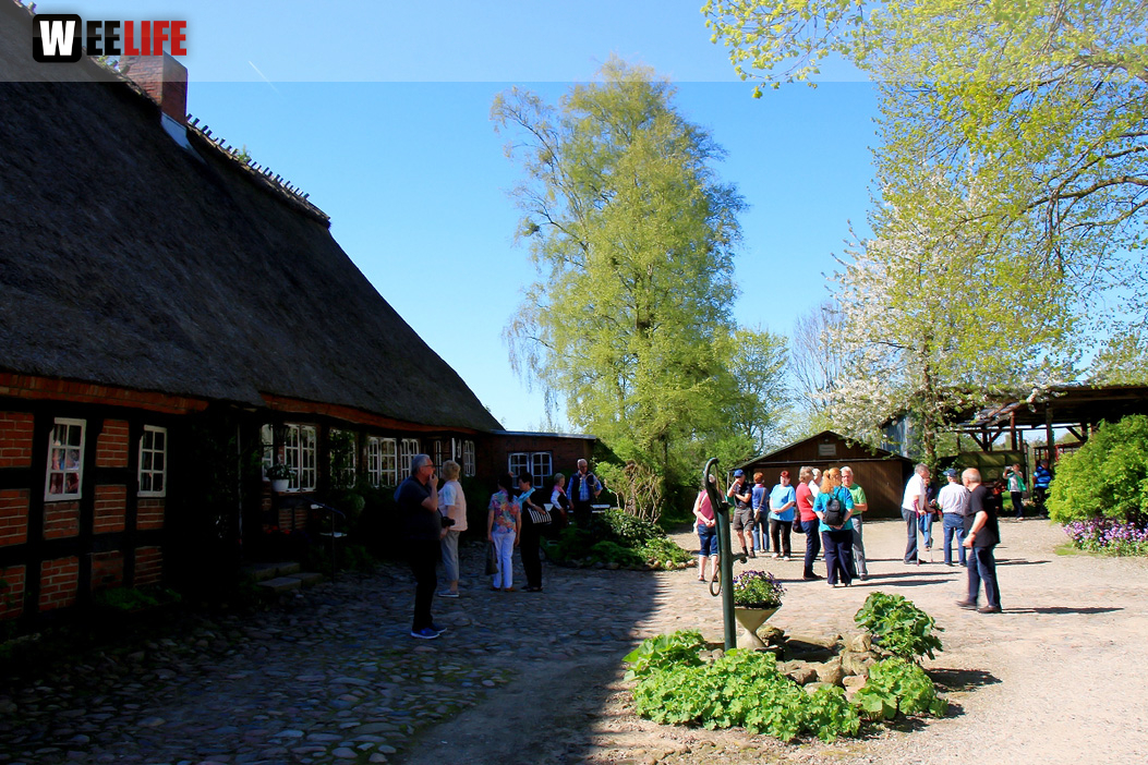 Landarzt Kappeln Hinnerksens Hof 3.Tag Weiherer Reisen Nord Ostsee