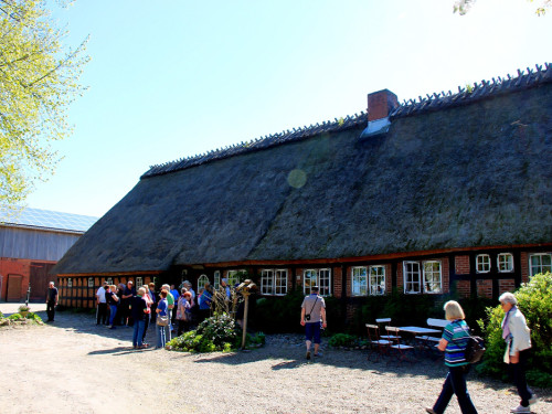 Landarzt Kappeln Hinnerksens Hof 3.Tag Weiherer Reisen Nord Ostsee – Foto 22