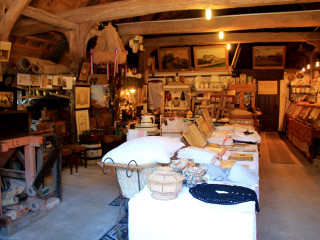 Foto 210221 im Album