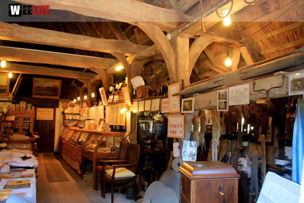 Landarzt Kappeln Hinnerksens Hof 3.Tag Weiherer Reisen Nord Ostsee