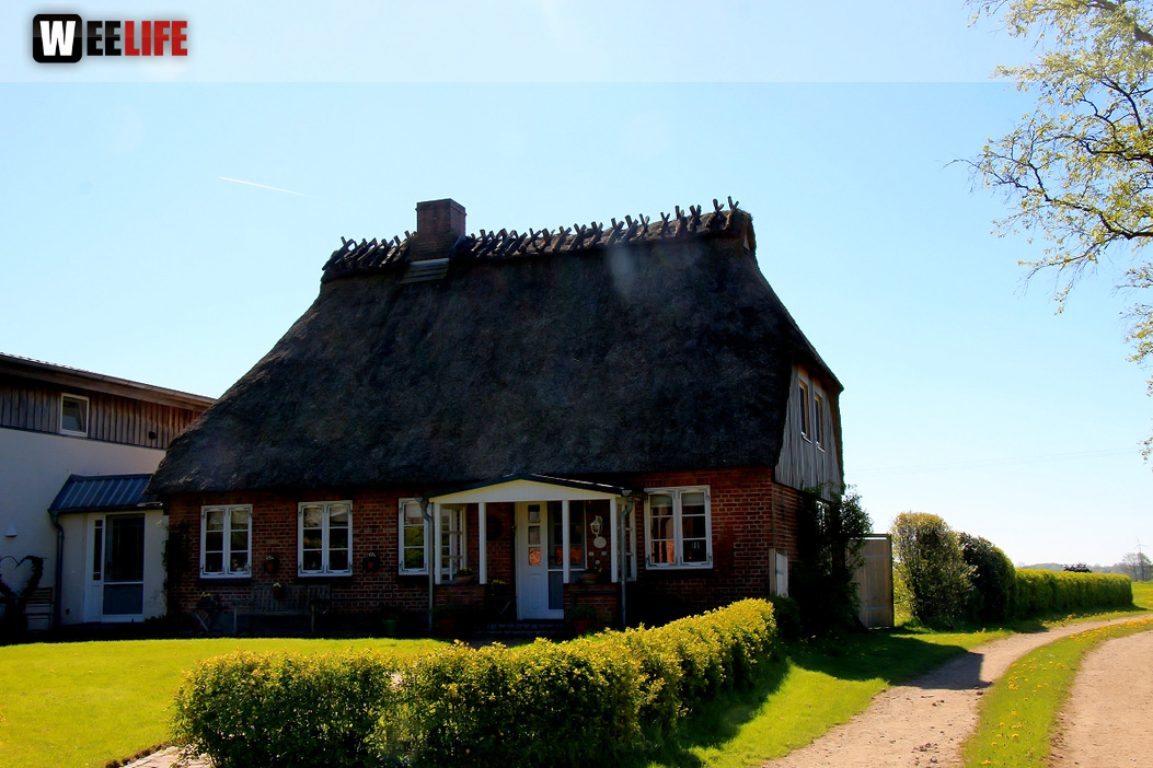 Landarzt Kappeln Hinnerksens Hof 3.Tag Weiherer Reisen Nord Ostsee