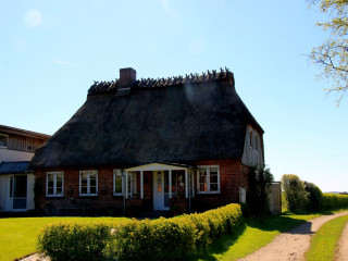 Foto 210223 im Album
