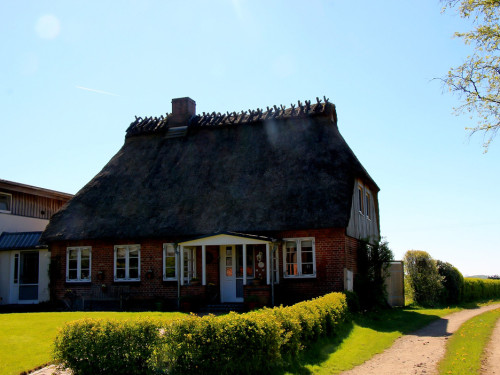 Landarzt Kappeln Hinnerksens Hof 3.Tag Weiherer Reisen Nord Ostsee – Foto 28