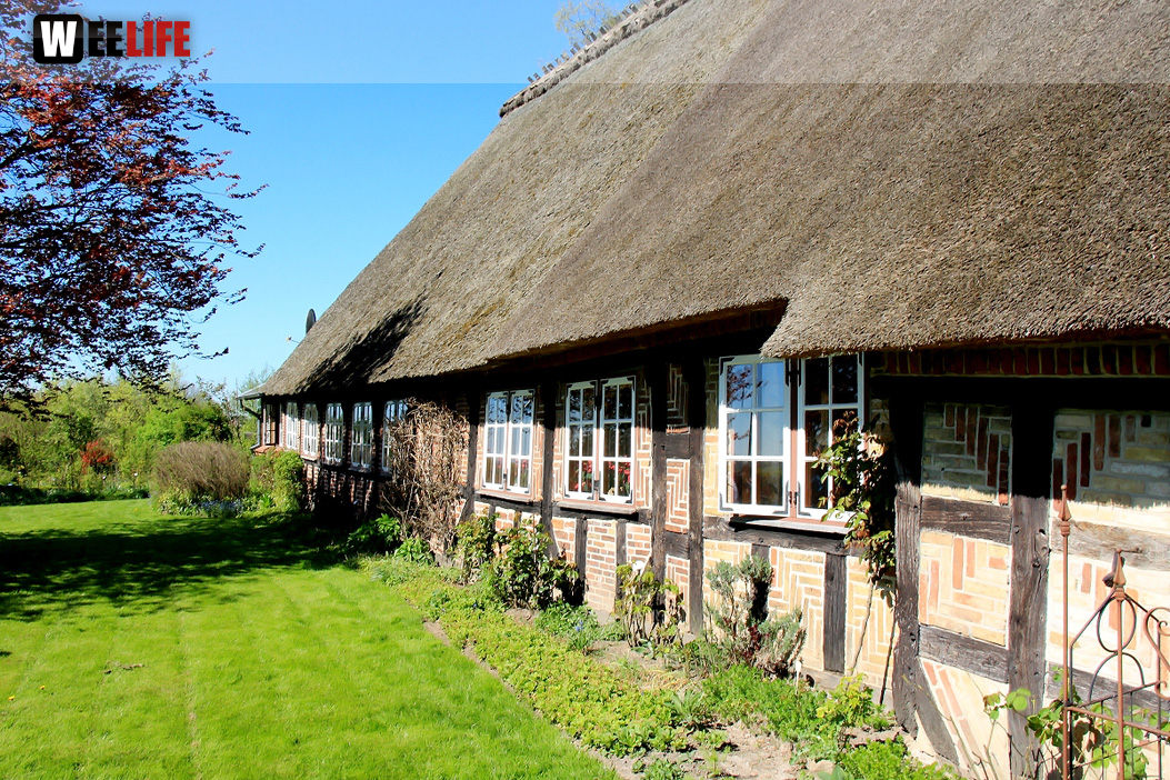 Landarzt Kappeln Hinnerksens Hof 3.Tag Weiherer Reisen Nord Ostsee