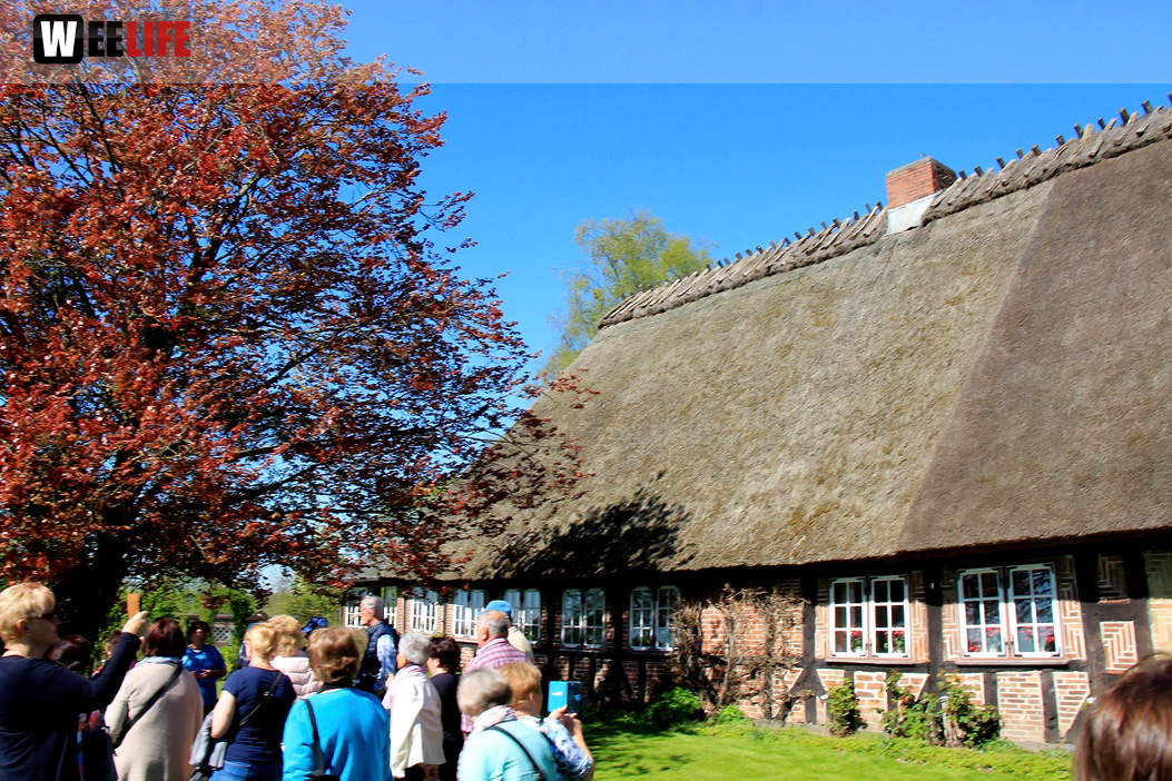 Landarzt Kappeln Hinnerksens Hof 3.Tag Weiherer Reisen Nord Ostsee