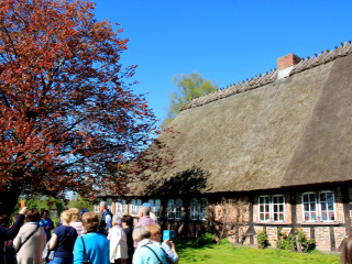 Foto 210226 im Album