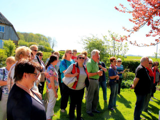 Vorschau des nächsten Fotos