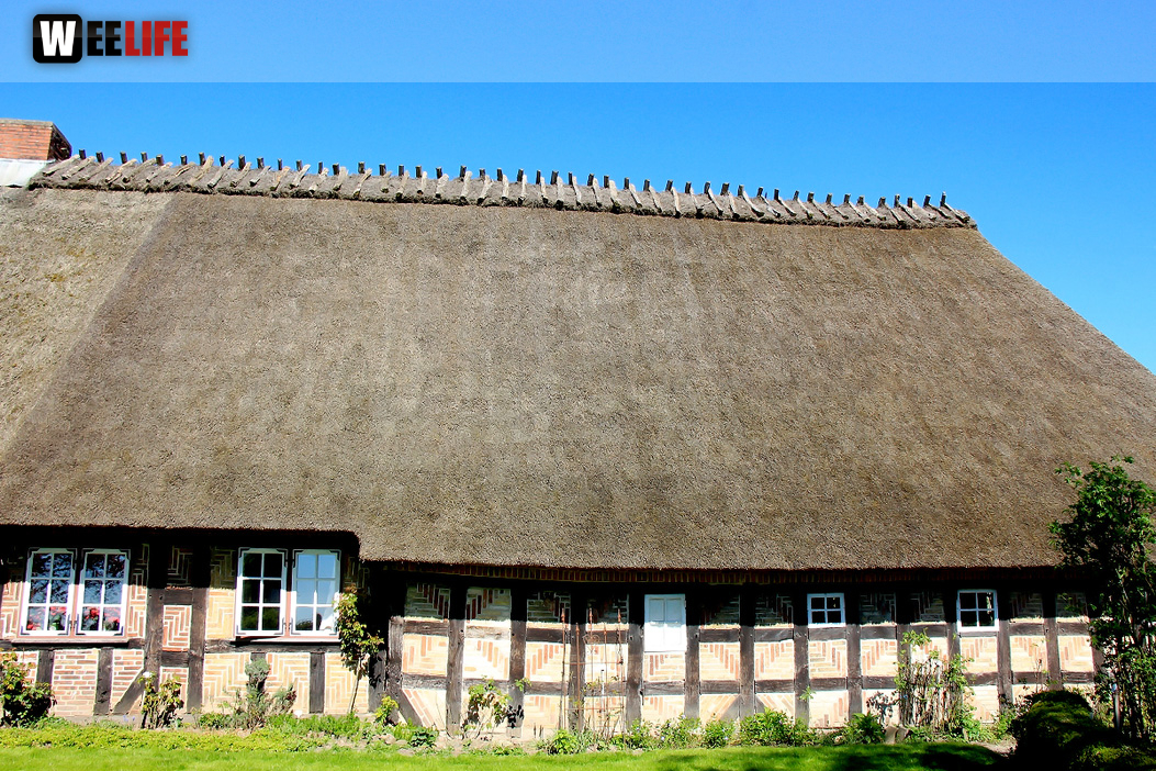 Landarzt Kappeln Hinnerksens Hof 3.Tag Weiherer Reisen Nord Ostsee