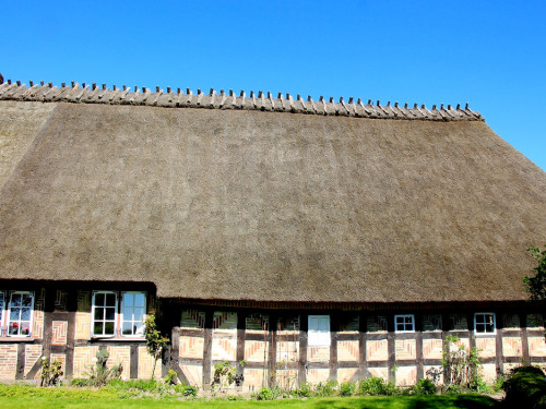 Landarzt Kappeln Hinnerksens Hof 3.Tag Weiherer Reisen Nord Ostsee – Foto 35