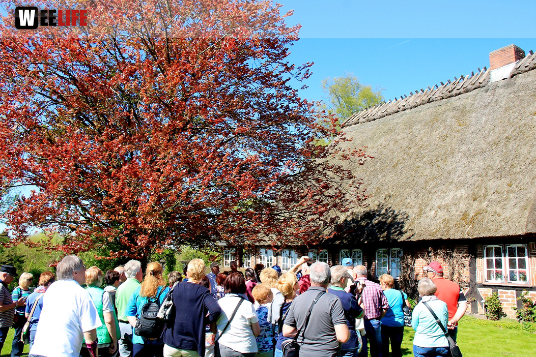 Landarzt Kappeln Hinnerksens Hof 3.Tag Weiherer Reisen Nord Ostsee