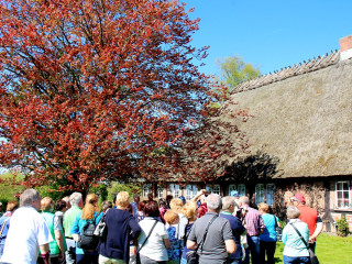 Foto 210231 im Album