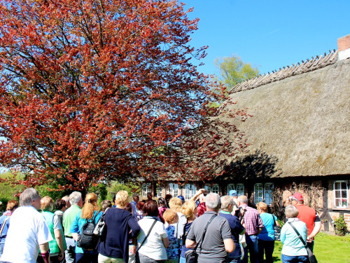 Landarzt Kappeln Hinnerksens Hof 3.Tag Weiherer Reisen Nord Ostsee – Foto 36