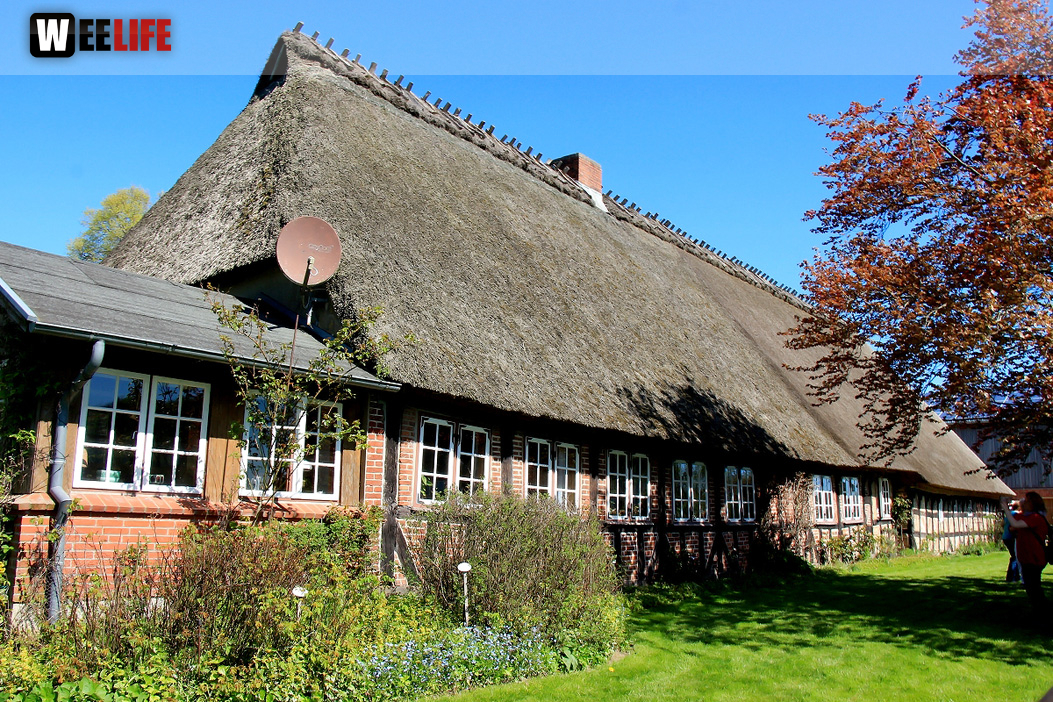 Landarzt Kappeln Hinnerksens Hof 3.Tag Weiherer Reisen Nord Ostsee