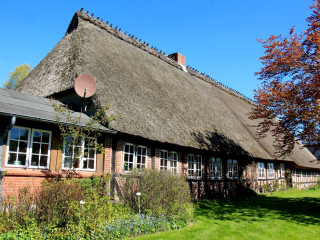 Foto 210233 im Album