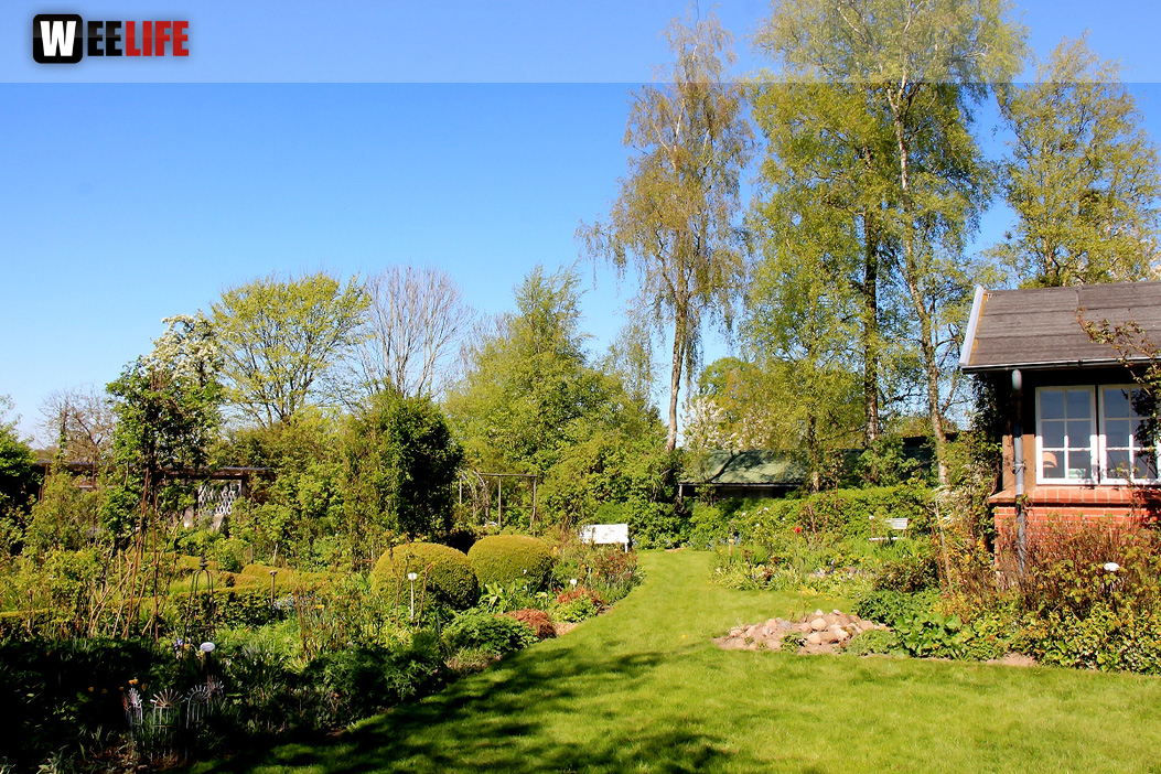 Landarzt Kappeln Hinnerksens Hof 3.Tag Weiherer Reisen Nord Ostsee