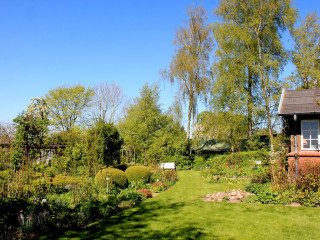 Foto 210234 im Album