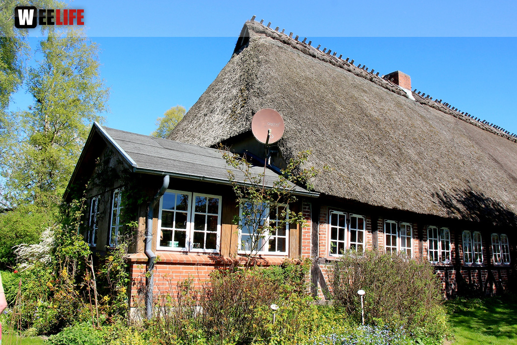Landarzt Kappeln Hinnerksens Hof 3.Tag Weiherer Reisen Nord Ostsee