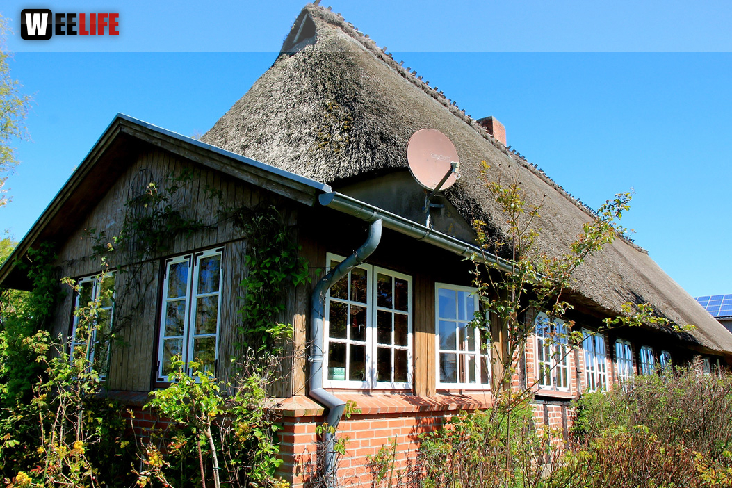 Landarzt Kappeln Hinnerksens Hof 3.Tag Weiherer Reisen Nord Ostsee