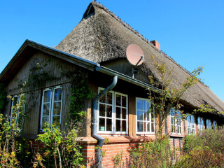 Foto 210237 im Album