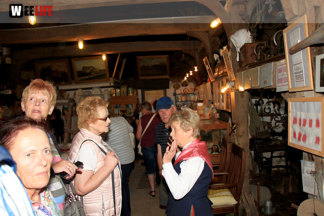 Landarzt Kappeln Hinnerksens Hof 3.Tag Weiherer Reisen Nord Ostsee