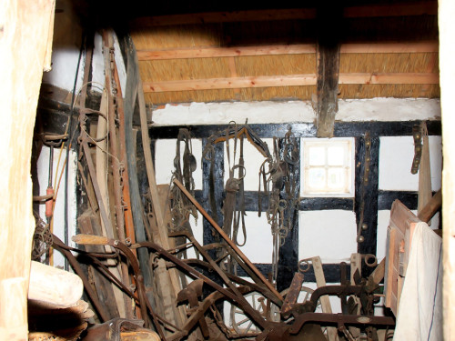 Landarzt Kappeln Hinnerksens Hof 3.Tag Weiherer Reisen Nord Ostsee – Foto 53
