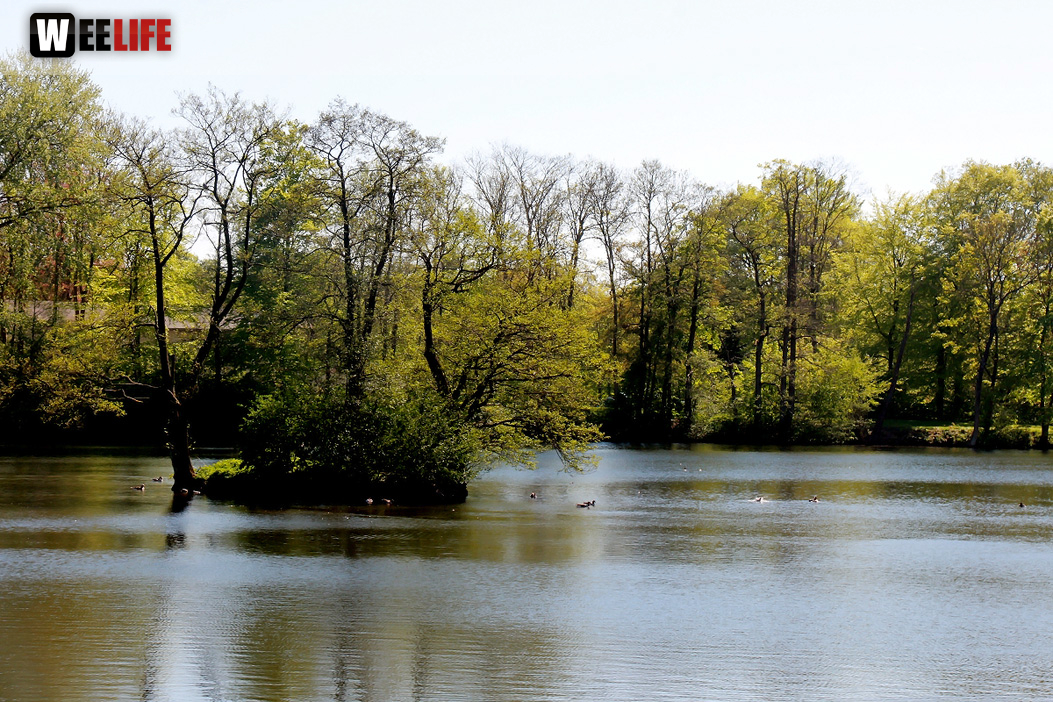 Glücksburg 4.Tag Weiherer Reisen Nord Ostsee