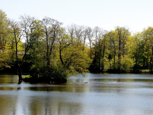 Glücksburg 4.Tag Weiherer Reisen Nord Ostsee – Foto 21