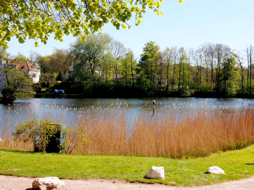 Glücksburg 4.Tag Weiherer Reisen Nord Ostsee – Foto 25