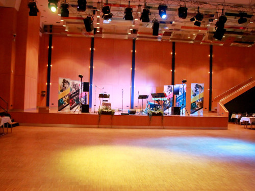 Venezianischer Maskenball Sommerball TS Swing – Foto 2