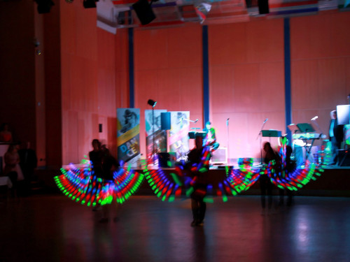 Venezianischer Maskenball Sommerball TS Swing – Foto 24