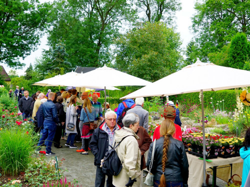 Rosenfest – Foto 13