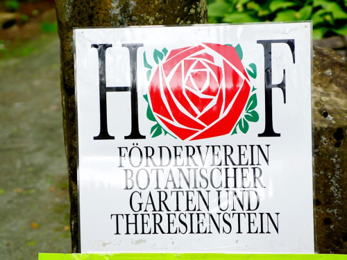Rosenfest – Foto 16