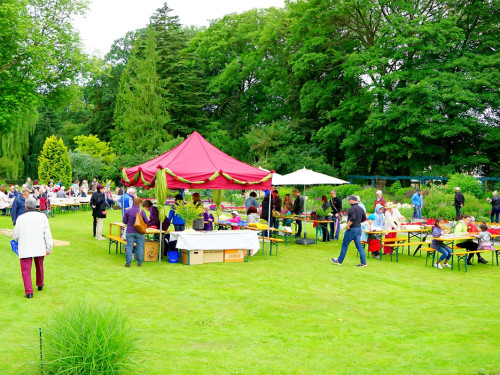 Rosenfest – Foto 20
