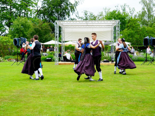 Foto 211541 im Album