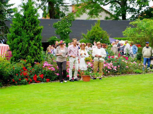 Rosenfest – Foto 46
