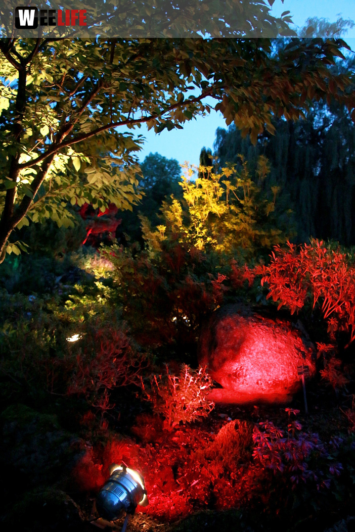 Nacht der Sinne 21.7.2018 Botanischer Garten Fotograf Murat Daniel