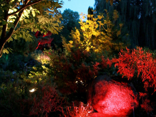 Nacht der Sinne 21.7.2018 Botanischer Garten Fotograf Murat Daniel – Foto 2