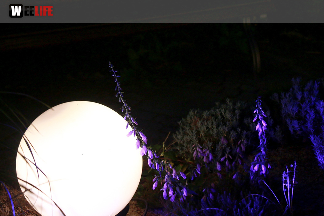 Nacht der Sinne 21.7.2018 Botanischer Garten Fotograf Murat Daniel