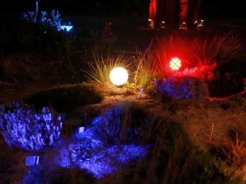 Nacht der Sinne 21.7.2018 Botanischer Garten Fotograf Murat Daniel – Foto 6