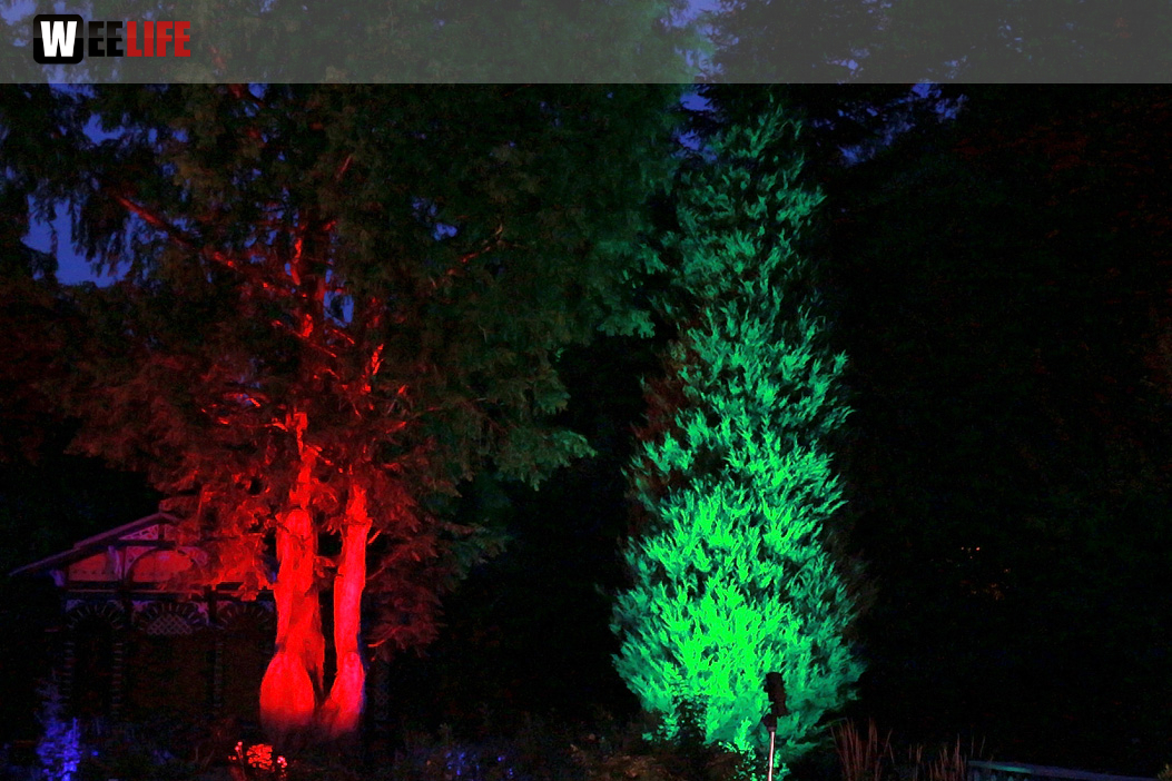 Nacht der Sinne 21.7.2018 Botanischer Garten Fotograf Murat Daniel