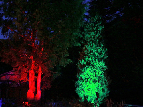 Nacht der Sinne 21.7.2018 Botanischer Garten Fotograf Murat Daniel – Foto 7
