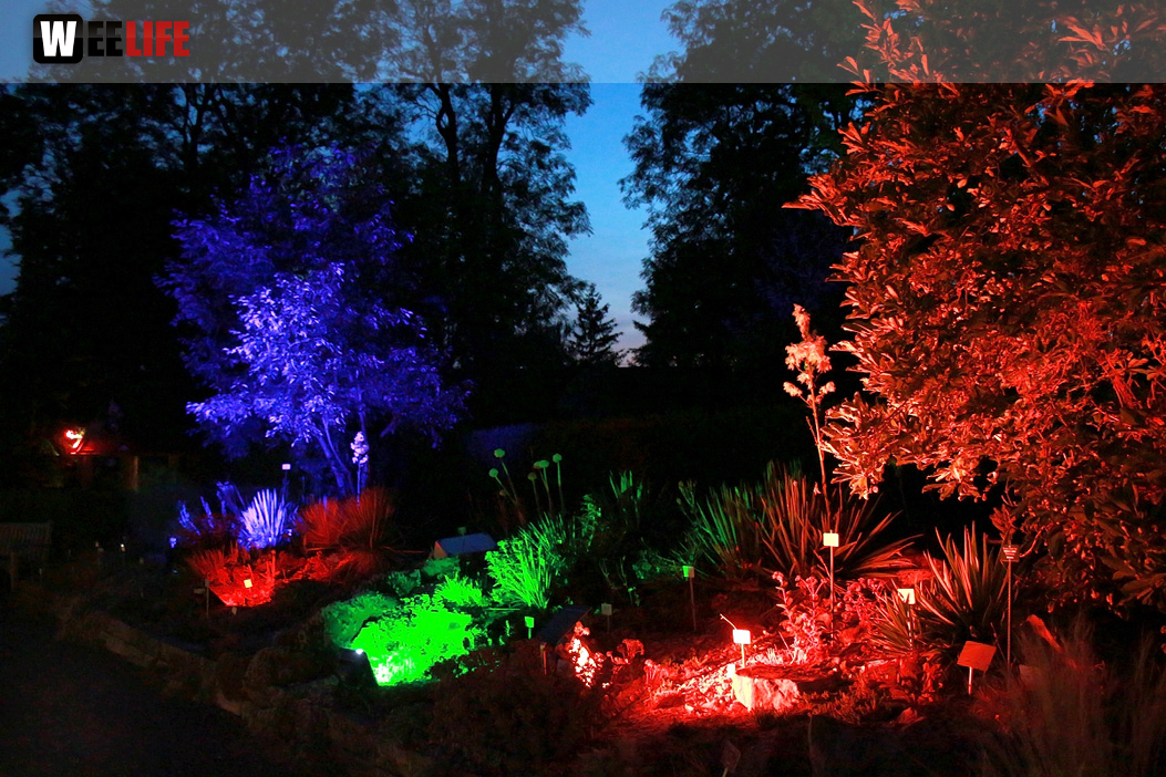 Nacht der Sinne 21.7.2018 Botanischer Garten Fotograf Murat Daniel