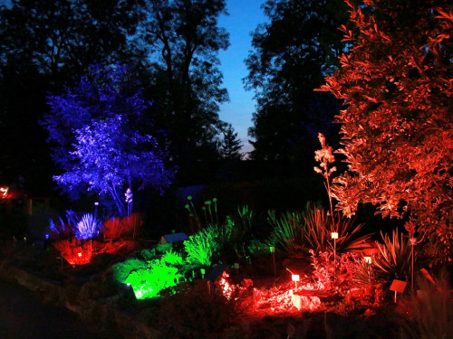 Nacht der Sinne 21.7.2018 Botanischer Garten Fotograf Murat Daniel – Foto 12