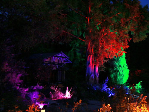 Nacht der Sinne 21.7.2018 Botanischer Garten Fotograf Murat Daniel – Foto 13
