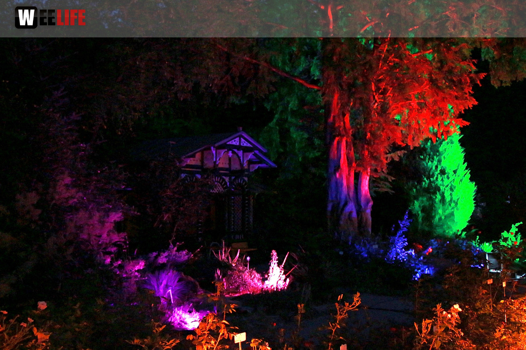 Nacht der Sinne 21.7.2018 Botanischer Garten Fotograf Murat Daniel