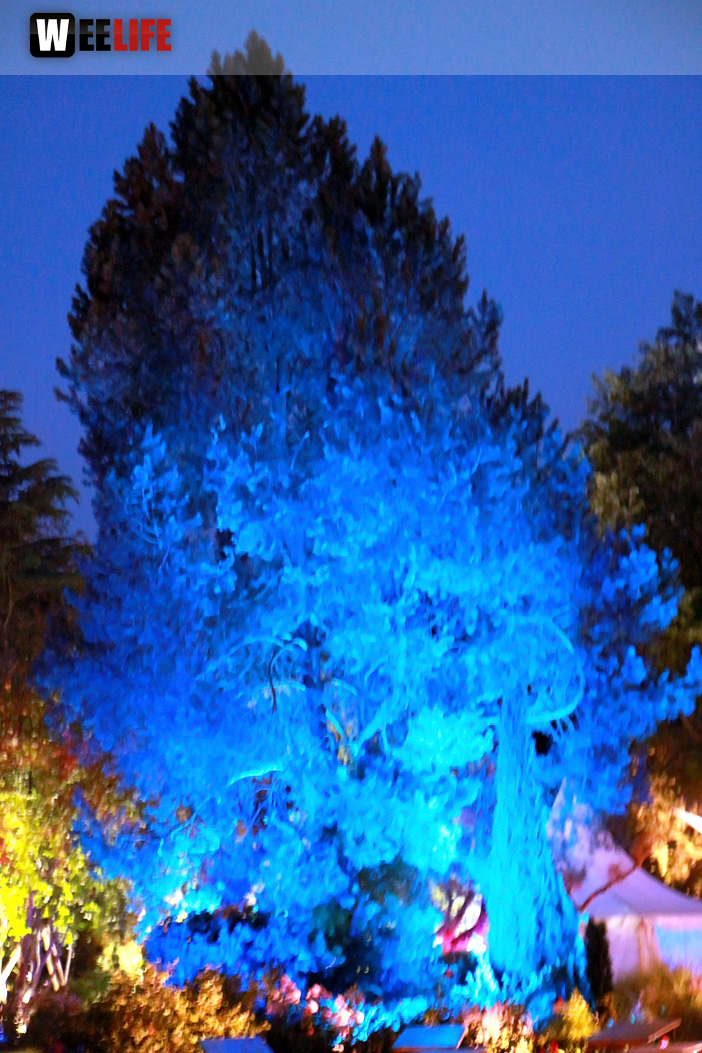 Nacht der Sinne 21.7.2018 Botanischer Garten Fotograf Murat Daniel